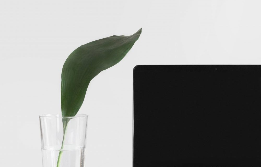 Hvordan du kan bruge smart glass Hvordan du kan bruge smart glass